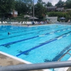 Bower Hill Civic League Swimming gallery