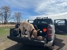 Cooke Canyon Hunt Club - Dog Training