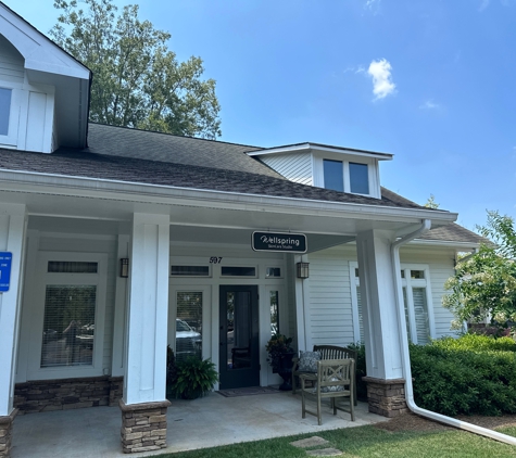 Wellspring Skincare - Roswell, GA. Exterior of Wellspring Skincare