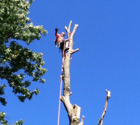 Fields Tree Service, L.L.C. - Greenfield, IN