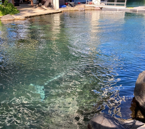 Dolphin Quest Oahu - Honolulu, HI