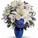 Ellis Funeral Home & Cremation Service - Funeral Directors