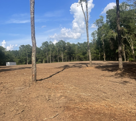 Century Tree and Mulching Service - Leesburg, GA