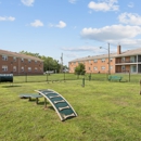 Orchard Park Apartment Homes