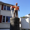Schmitt Tree Service and Landscaping gallery