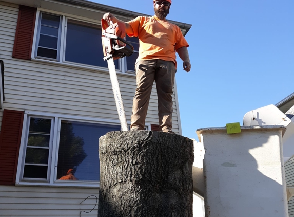 Schmitt Tree Service and Landscaping - Newington, CT