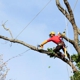 Trufast Tree Service