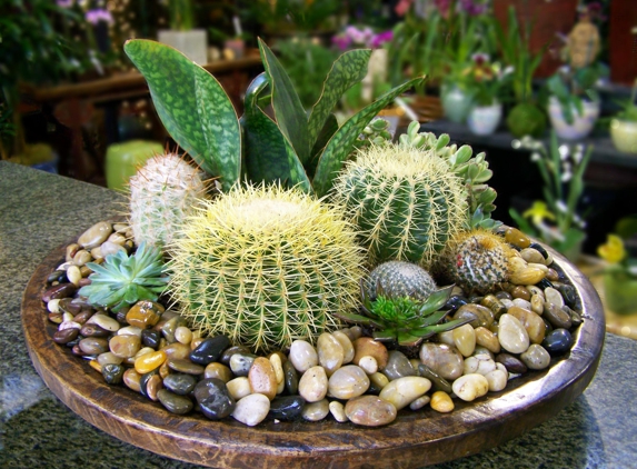 Exotic Plants Ltd. - Sacramento, CA