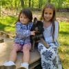 Metro K9 Academy gallery