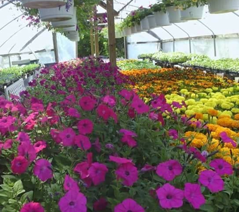 McKenzie's Flowers & Greenhouse - Weston, OH