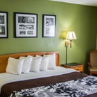 Sleep Inn & Suites Pineville - Alexandria