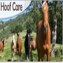 Hooves-R Us - Horse Equipment & Services