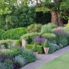 Wade Landscape Design gallery