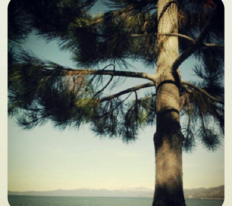 Regan Beach - South Lake Tahoe, CA