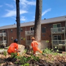 Arbor Works - Tree Service