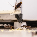 Aim Pest Solutions