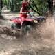 Texas ATV Rental (Houston)