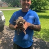 All Creatures Pest Control gallery