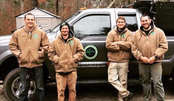 Cape Cod Tree & Landscape Services - South Chatham, MA. crew