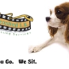 Unleashed LA Pet Sitting gallery