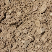 Gallery Image Number 6