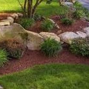 Designscapes: Landscaping & Watergardening - Landscaping & Lawn Services