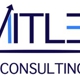 Limitless Consulting