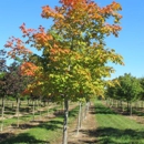 Baldwin Tree Farm - Nurseries-Plants & Trees