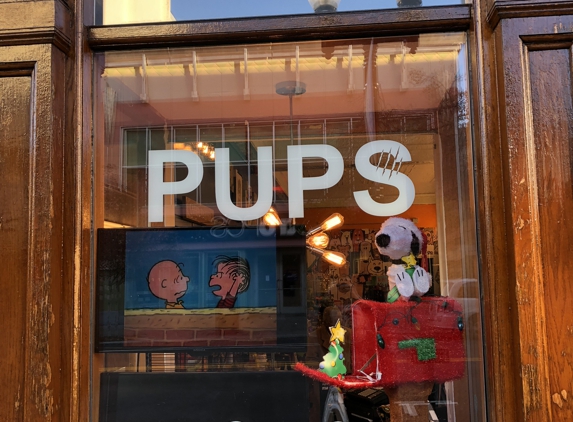 Pups - Lowell, MA. Front of store