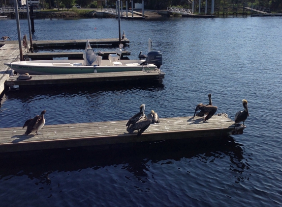 Sea Hag Marina - Steinhatchee, FL