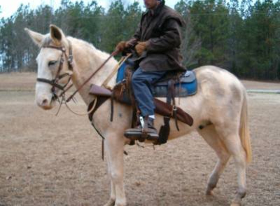 Free Spirit Saddles & Tack - Jacksonville, OR
