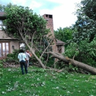 Even Family Tree Removal