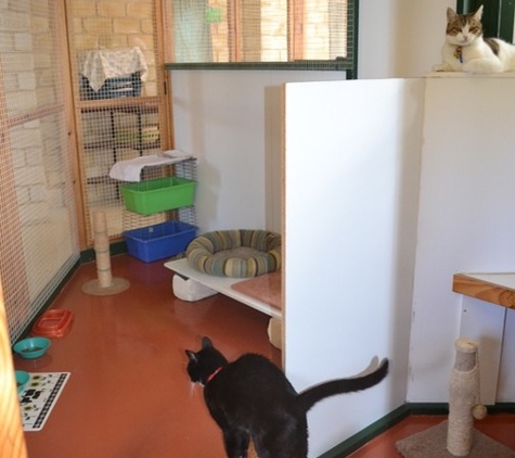 Camelot Pet Resort - Karnup, WA