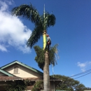 Niu Mana Palm & Tree Care LLC - Tree Service