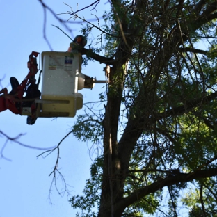 BeaverJack Tree Service, LLC - Natrona Heights, PA