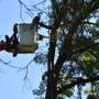 BeaverJack Tree Service, LLC