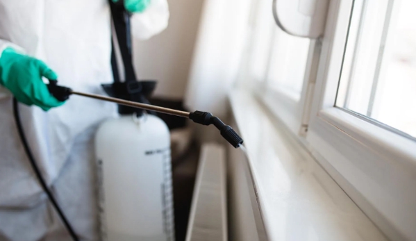 Black & White Pest Control - Greenbank, QLD