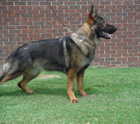 Hamilton K-9 Training & Boarding - Bonifay, FL