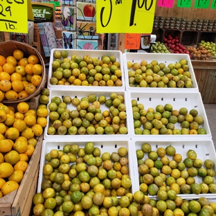 Detwilers Farm Market - Sarasota, FL. Bill Lewis of Vero Beach stopping in at Detwiler's Farm Market in Sarasota, Florida.