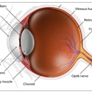 Glaucoma Associates of Texas - Physicians & Surgeons, Ophthalmology