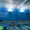 Bear Paddle Swim School - Woodridge gallery