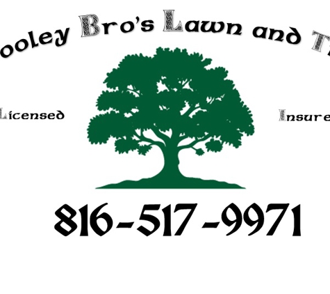 Dooley Bro's Tree llc - Kansas City, MO