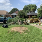 Texas Treehouse Tree Service & Stump Grinding