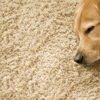 Best Value Rugs & Carpets Inc gallery