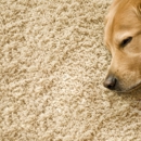 Best Value Rugs & Carpets Inc - Carpet & Rug Dealers