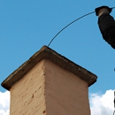 Loyalty Chimney & Dryer Vent Service LLC - Chimney Contractors