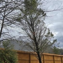 Loudermilk Tree Service