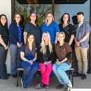 Main Street Veterinary Hospital - Pet Services