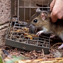 Gunnels Pest Control - Pest Control Equipment & Supplies