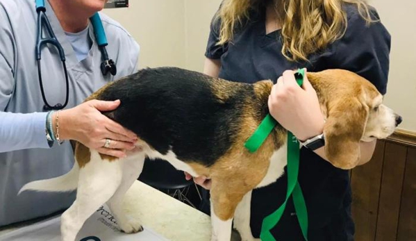 Bellshire Family Vet - Nashville, TN